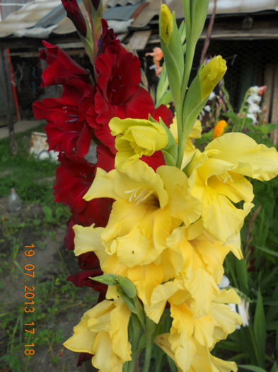 DSCN3839