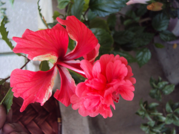 DSC08205