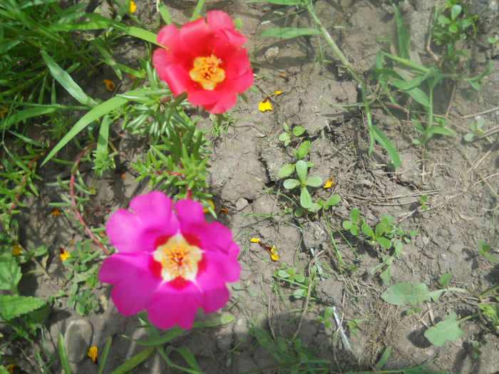 DSCN4717