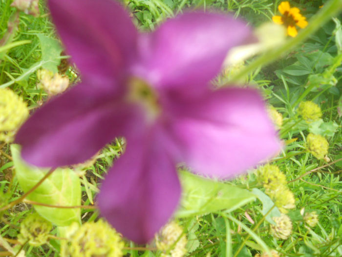 DSCN4718