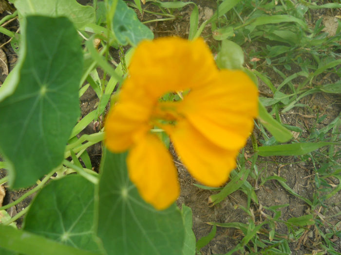 DSCN4719