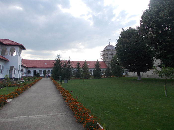 DSCN9654_5109 - Un colt de rai