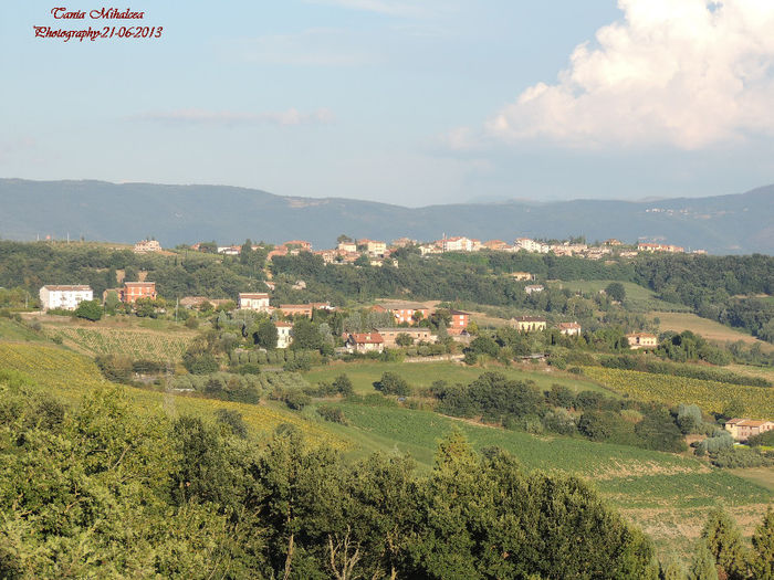 DSCN3356 - IMAGINI DIN BALCON