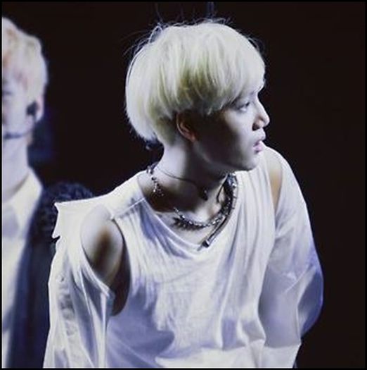 (Kai) ..Haaide, hyung-nim. ;;)