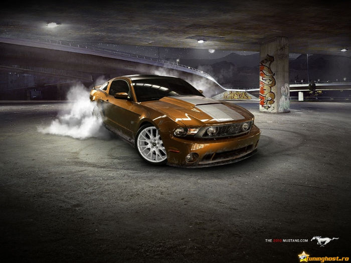 2010-ford-mustang-tuninghost[1]