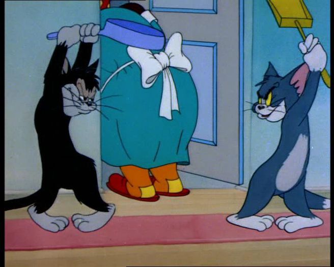 Tom si Jerry - Tom si Jerry