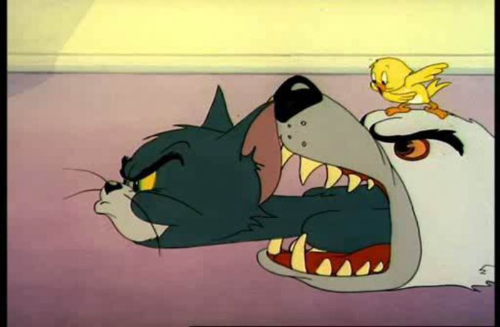 Tom si Jerry - Tom si Jerry