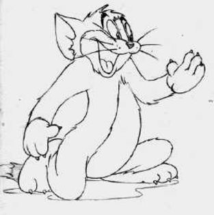 Tom si Jerry