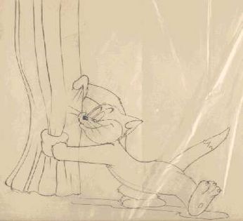 Tom si Jerry