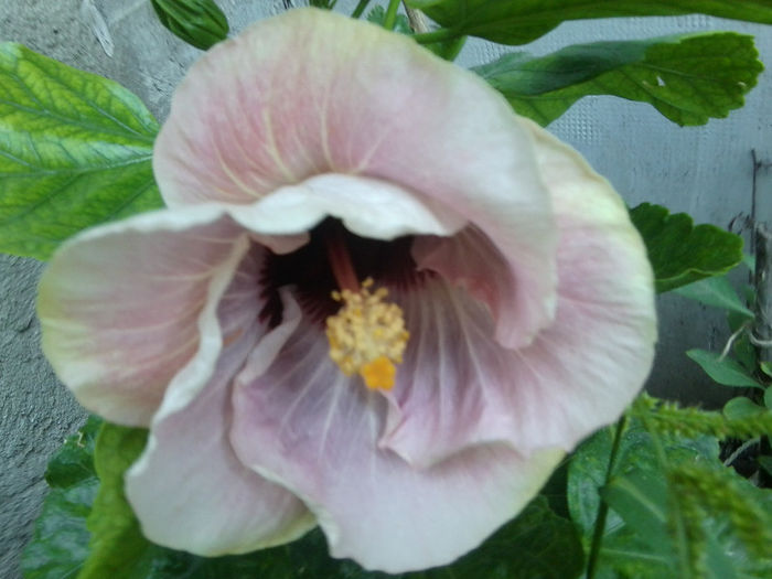 Fotografie4730 - my way-30