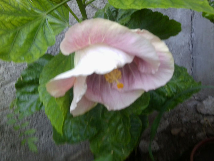 Fotografie4734 - my way-30