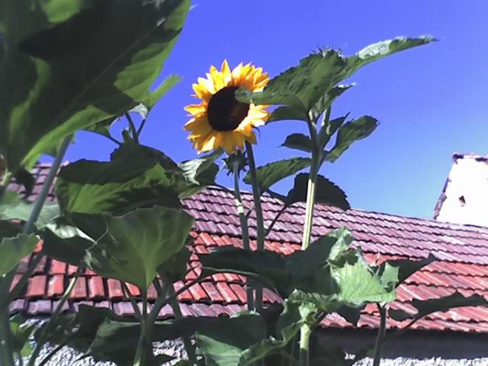 23-07-13_0824