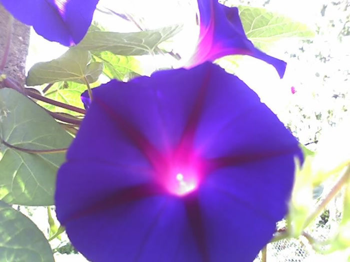 23-07-13_0825