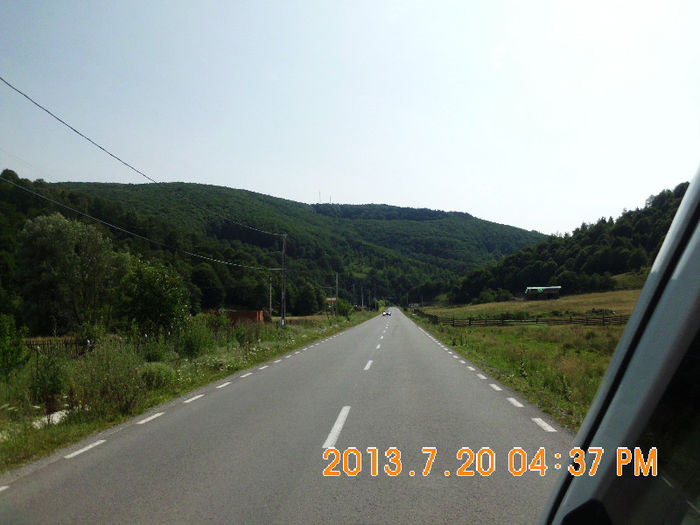 in drum spre Ciucea - Lacul Lesu iulie 2013