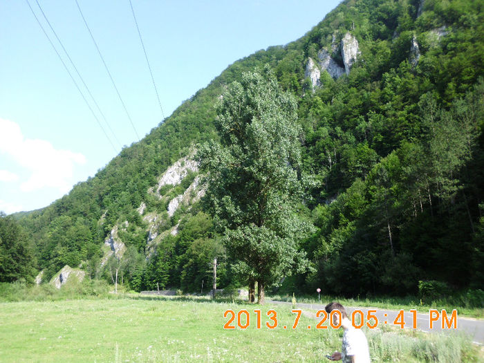 pe langa Remeti,BH 05