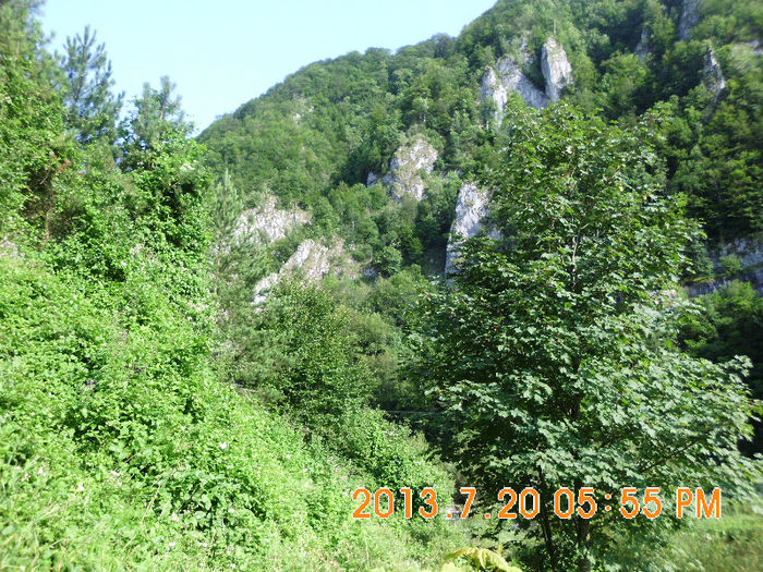 pe langa Remeti,BH 09