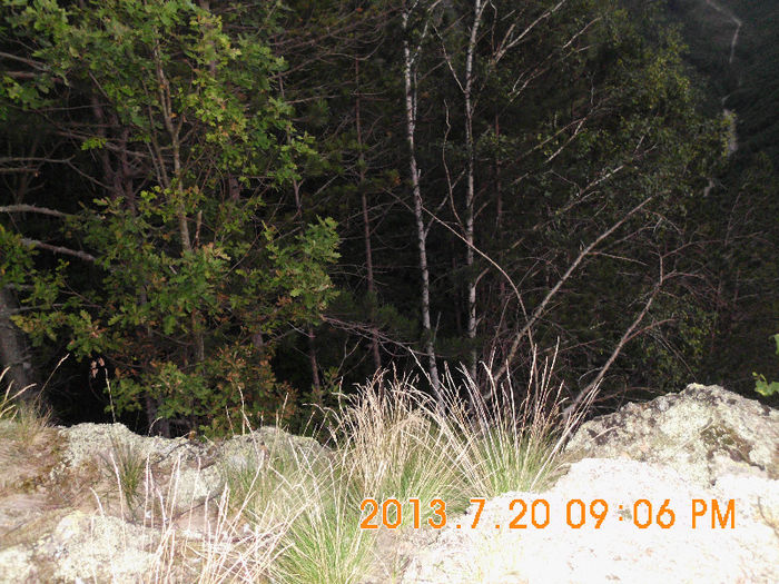 pe varf de munte la Lesu 08