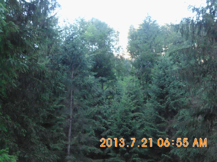 in popas pe Valea Lupului 14