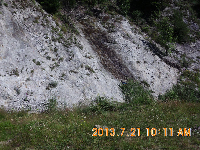 apa curge dintre stanci