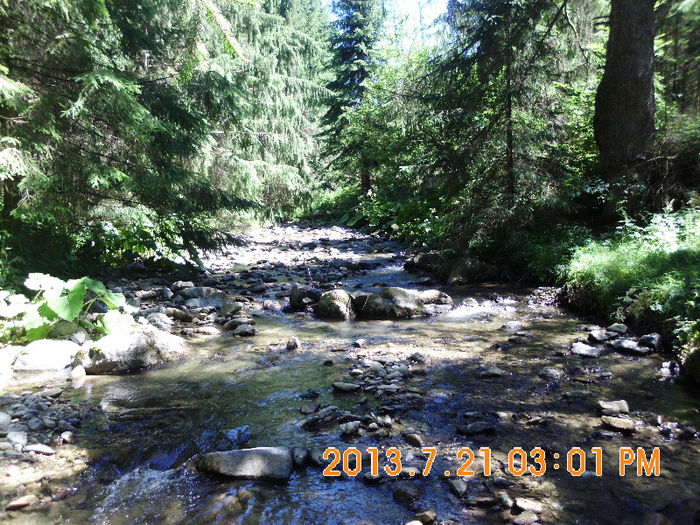 in popas pe Valea Lupului 15