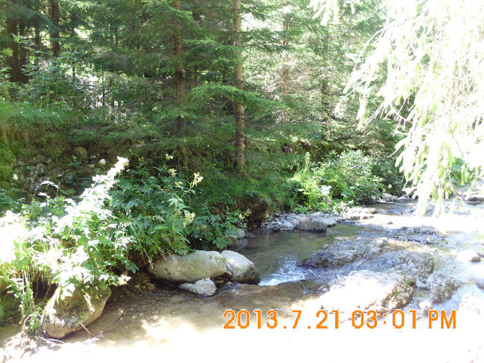 in popas pe Valea Lupului 16