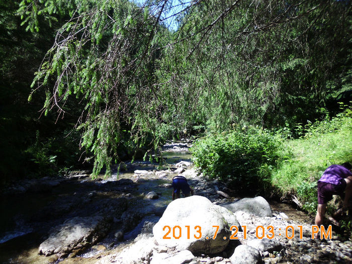 in popas pe Valea Lupului 17