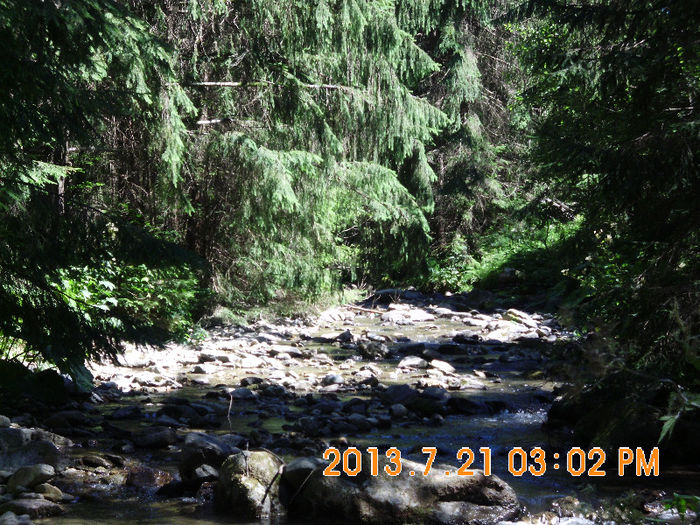 in popas pe Valea Lupului 19