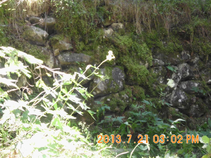 in popas pe Valea Lupului 20