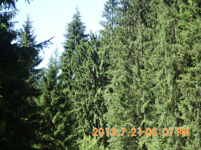 in popas pe Valea Lupului 27