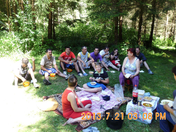 in popas pe Valea Lupului 28