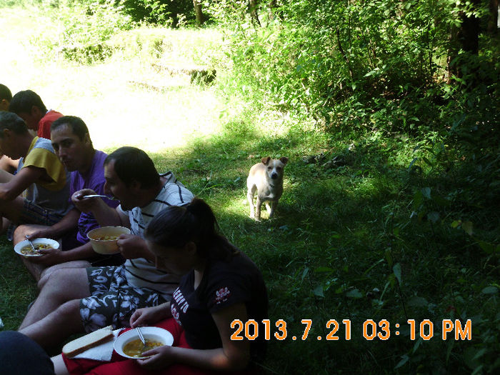 in popas pe Valea Lupului 32