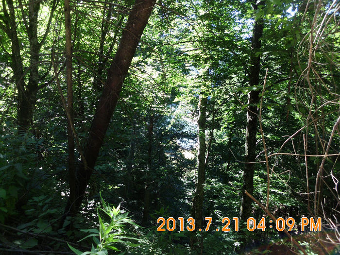 pe drum pe langa Lacul Lesu 02