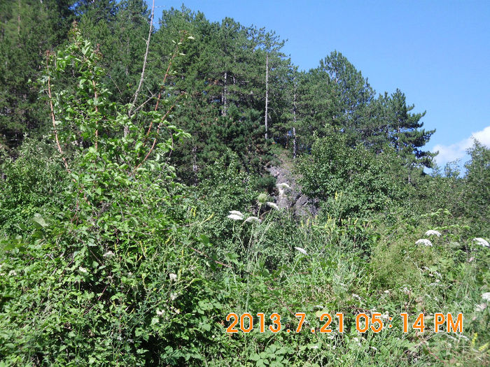 muntii langa Bratca 01