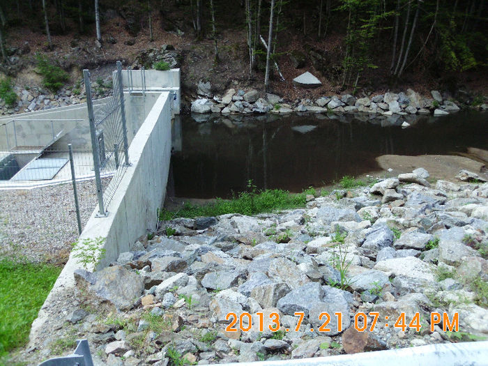 pe langa Padurea Neagra 01