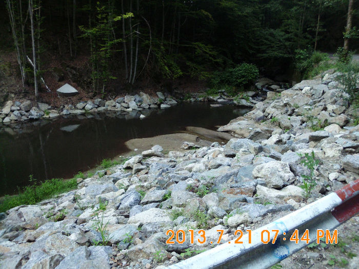 pe langa Padurea Neagra 02