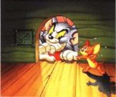 Tom si Jerry - Tom si Jerry