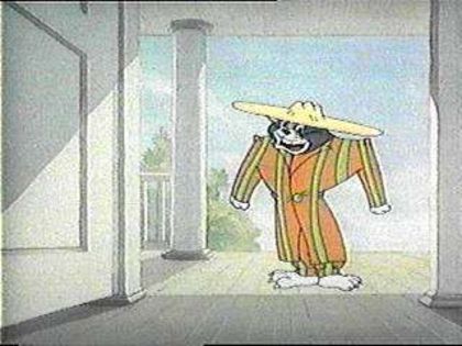 Tom si Jerry
