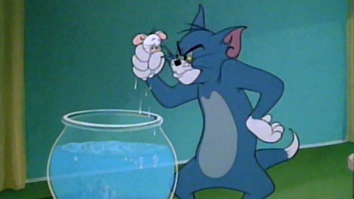 Tom si Jerry