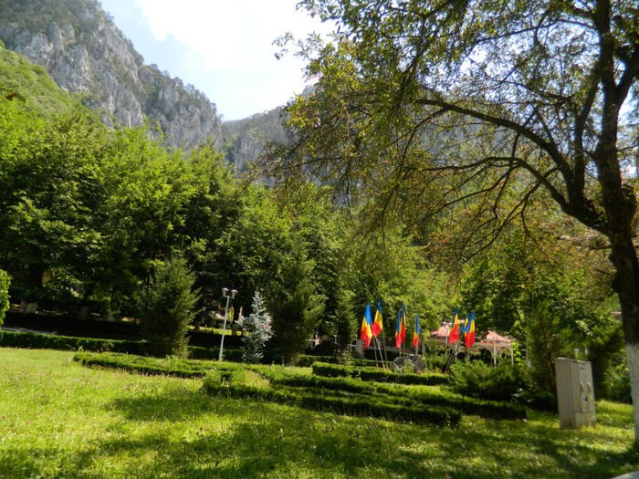 DSCN5990