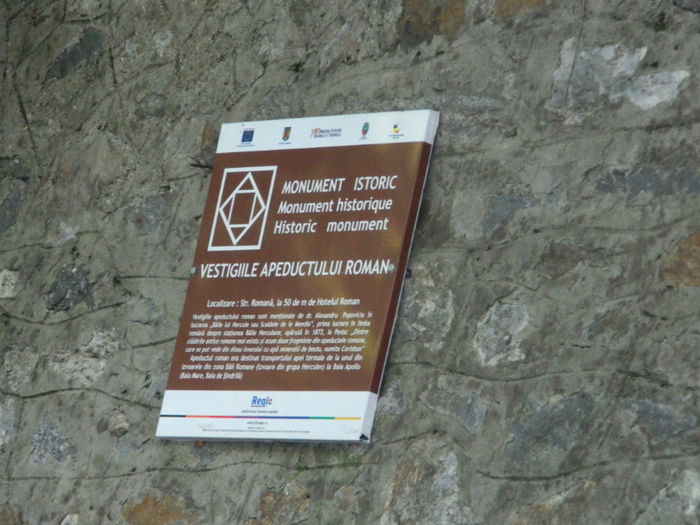 DSCN6019