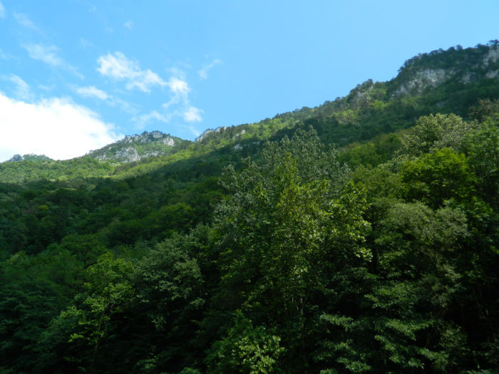 DSCN6021