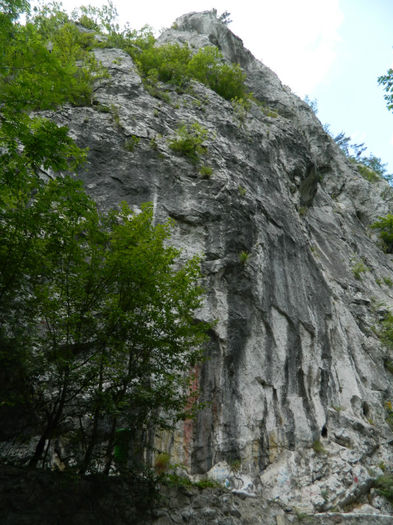 DSCN6029