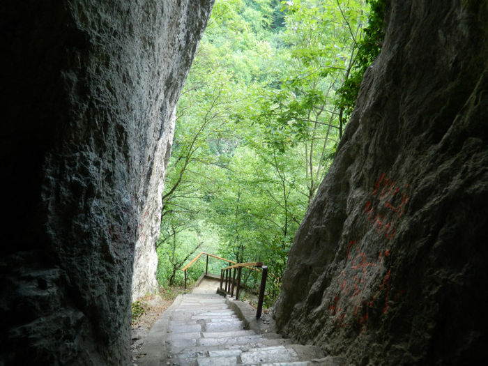 DSCN6044