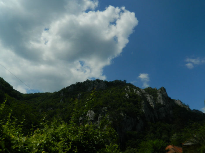 DSCN6065