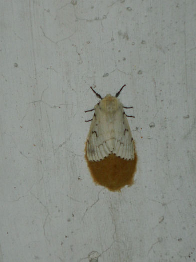DSCN6077