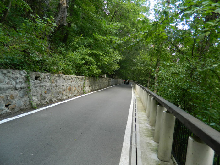 DSCN6080