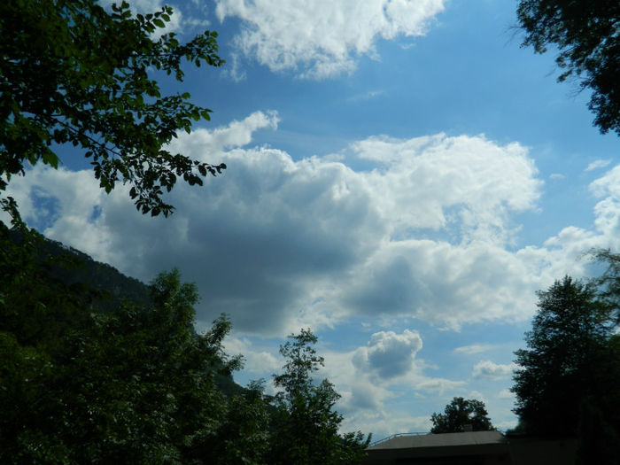 DSCN6084