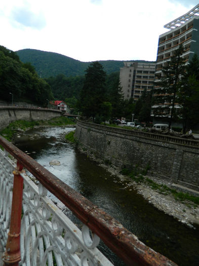 DSCN6095