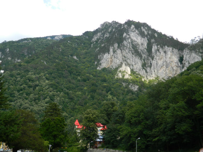 DSCN6098