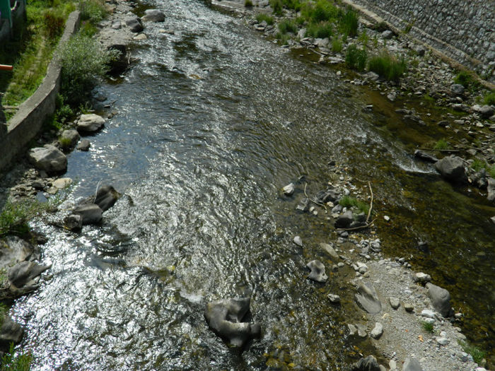 DSCN6099